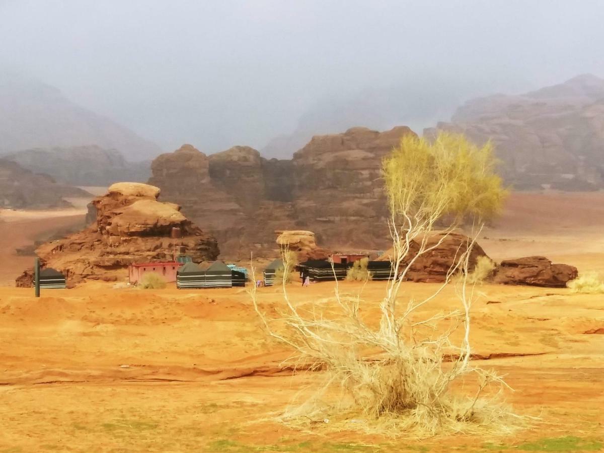 Bedouin Culture Camp Wadi Rum Exterior photo